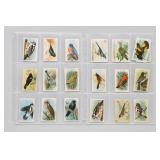 Useful Birds Of America Ninth Series Card Set