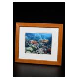 Signed Phil Sonier Moments from Nature 1994 Print