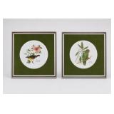 Framed Puerto Rico Bird Plates, Pair