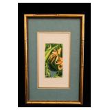 Packscattleya Laucha Framed Orchid Print