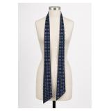 Express Design Studio Polka Dot Ascot Tie