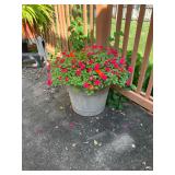 Potted fowers