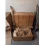 September 2026 Pittsford Online Auction by Caring Transitions - Ends 9/21!