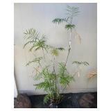 ARS280 - Bamboo Palm Tree