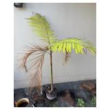 ARS282 - Small Palm Tree