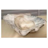 CCM135 Giant Clam Shell