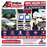 More Amazing Stuff for Your Bidding Pleasure in Arlington TX