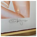 Many signed & framed pinup art by artist OLIVIA De Berardinis.