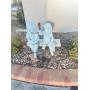 Trinity Estate Sales, Sun Lakes Gated Community 