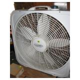 Fan