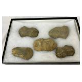 Collection of Northern North Carolina Arrowheads 