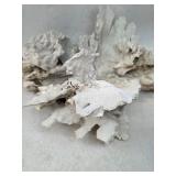 3 Large Fossilized Pieces of Coral