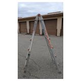 Little Giant Ladder Type 1A