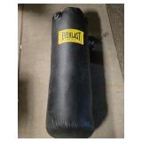 Everlast Punching Bag with Chain