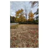 Buildable Lot - SFH / Commercial / Duplex