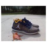 University of Michigan Jordan Trainers Size 11 Men