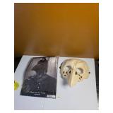 Pair of New Plague Doctor Masks