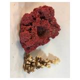 1 Large Piece of Red Coral and 1 Smaller White and Brown Piece of Coral (9