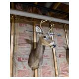 Whitetail Deer Buck Taxidermy Shoulder Mount with Antlers & Display Arrow - Hunting Trophy - photo 4