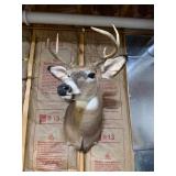 Whitetail Deer Buck Taxidermy Shoulder Mount - 8-Point Antlers - Wildlife Trophy Display - photo 2