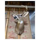 Whitetail Deer Buck Taxidermy Shoulder Mount - 8-Point Antlers - Wildlife Trophy Display - photo 3