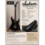 Online Bidding Only Guitar Auction