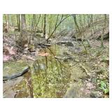 199+/- Acres Clay County WV Land - Offered in 2 parcels or as a Whole