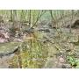 199+/- Acres Clay County WV Land - Offered in 2 parcels or as a Whole