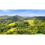 213 Acres Recreational Land, Barbour County West Virginia