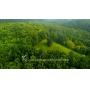 162 +/- Acres, Jackson County West Virginia Land 