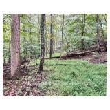 36.24+/- Acres with Public Utilities in Saint Albans WV