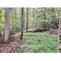 36.24+/- Acres with Public Utilities in Saint Albans WV