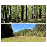 74.85+/- Acres Lewis County Land 