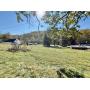 6+/- Acre Barbour County WV Land with Older Homes 