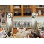 YTT Estate Sales San Leandro 2-Day On-Site Sale Department 56 Christmas & Halloween Collection + A H