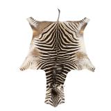 Vintage Genuine Zebra Hide Rug Pelt Tail Tip 10 Ft www.SouthJerseyAuction.com