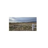 Vacant Land in Penrose CO