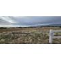Vacant Land in Penrose CO