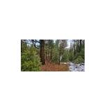 1055 Mountain Quail Road, Calpine, California 