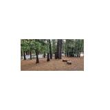 1055 Mountain Quail Road, Calpine, California 