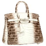 Lot #760 Hermes Himalayan Crocodile Birkin