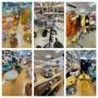 Dubuque September 2026 Caring Transitions Multi Client Estate Sale