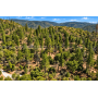 59.34 Acres Near Lake Oroville, CA - Panoramic Lake Views & Privacy