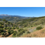 76.5 Acres in Horse Creek, CA - Private Retreat Bordering Klamath National Forest