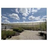 Commercial Greenhouse