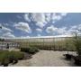 Commercial Greenhouse