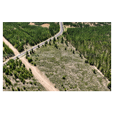 127.5 Acres of Timber Land in Weed, California