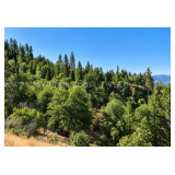 76.5 Acres in Horse Creek, CA - Private Retreat Bordering Klamath National Forest