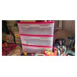 PLASTIC STORAGE ORGANIZER