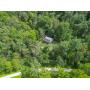 Absolute Auction - Homestead / Hunting Property With Mineral Rights